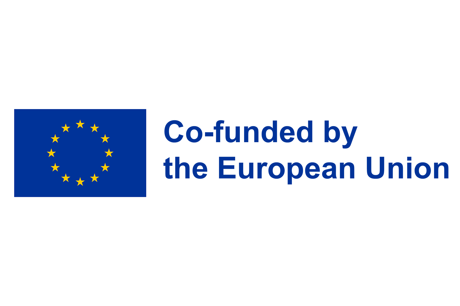 European Union flag and text "Co-funded by the European Union".
