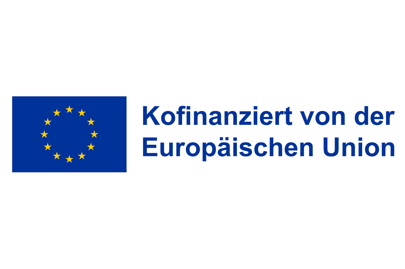 Die Flagge der Europäischen Union mit zwölf gelben Sternen, die in einem Kreis auf blauem Hintergrund angeordnet sind.
