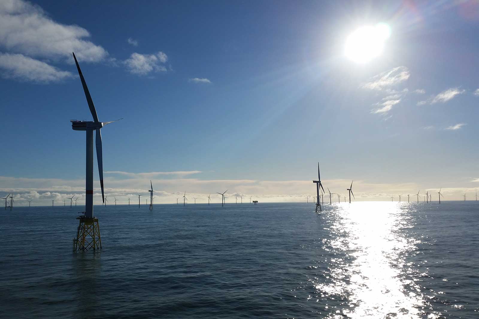 Mehrere Windkraftanlagen stehen im Wasser unter einem klaren Himmel, während die Sonne hell scheint.
