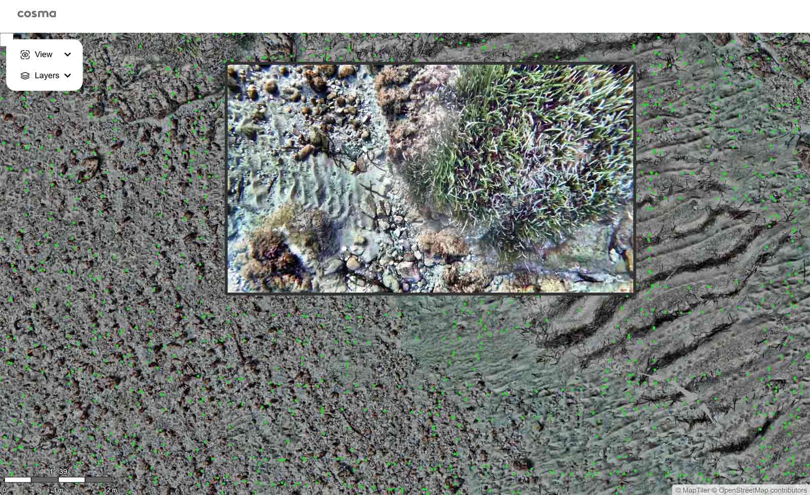RWE Image