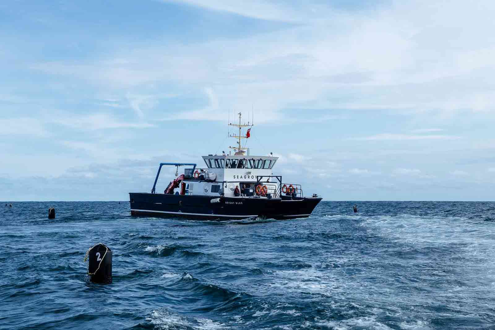 RWE Image