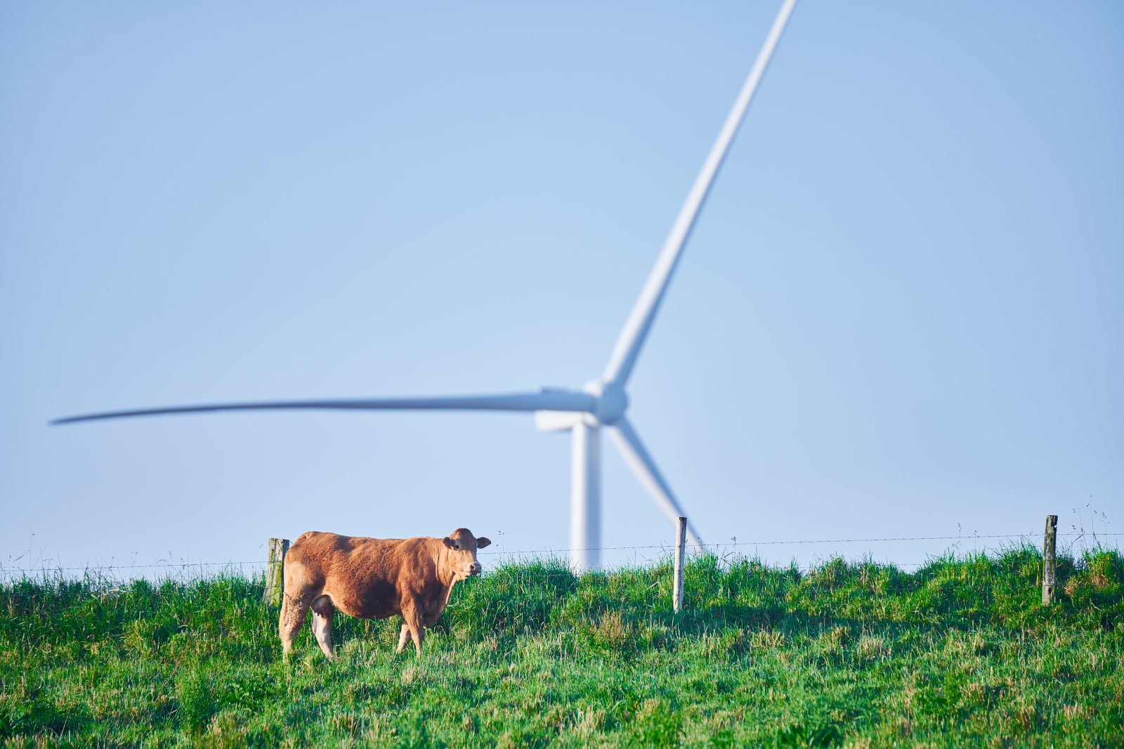 RWE Image