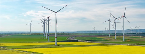 Eine weite Landschaft mit Windkraftanlagen, grünen Feldern und gelben Rapsblüten unter einem blauen Himmel.