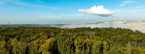 Luftaufnahme eines üppigen Waldes unter einem klaren blauen Himmel mit einer einzelnen Wolke und fernen Hügeln.