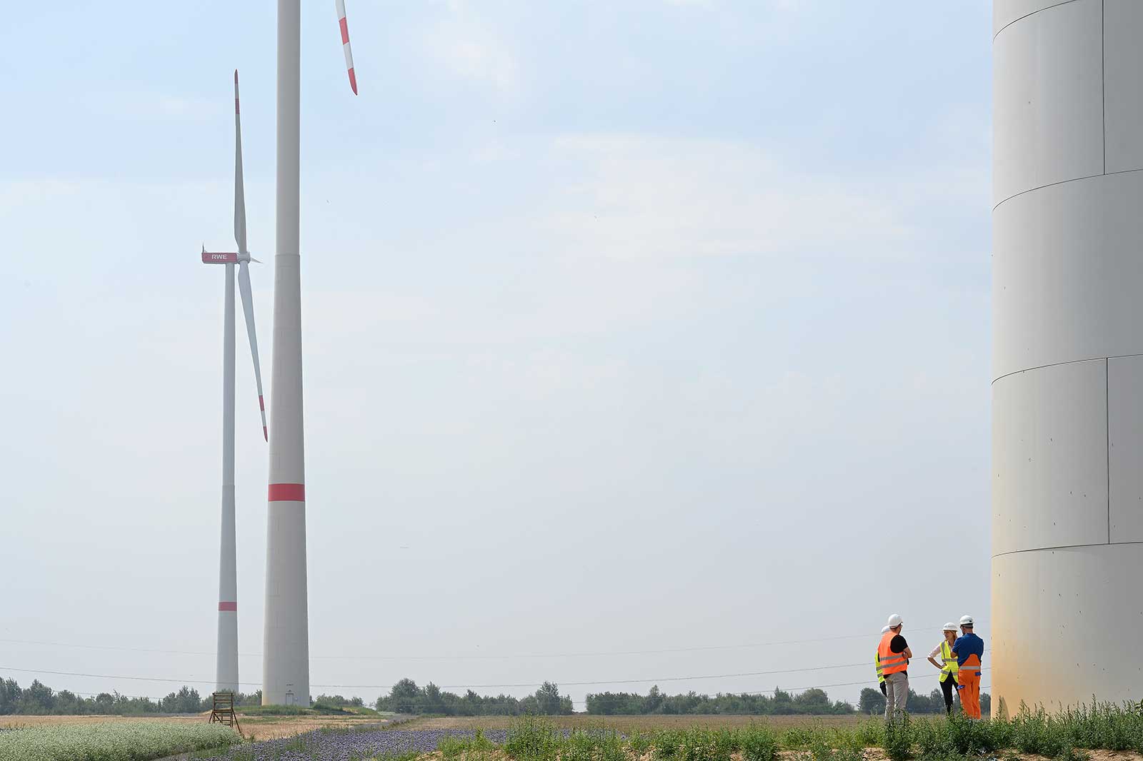 Two workers inspect a wind turbine in a field with blooming flowers and another turbine in the background.