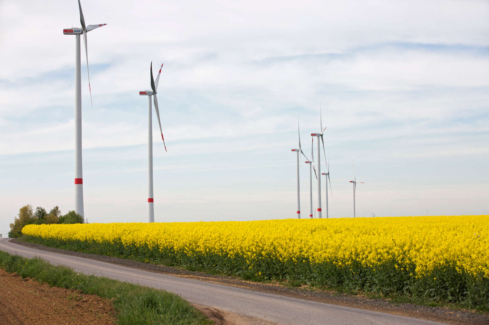 A country road runs alongside yellow rapeseed fields and wind turbines under a bright sky.