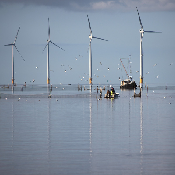 Eine ruhige Meereslandschaft mit Windturbinen, einem Fischereiboot und zwei Fischern in ruhigem Wasser unter einem klaren Himmel.