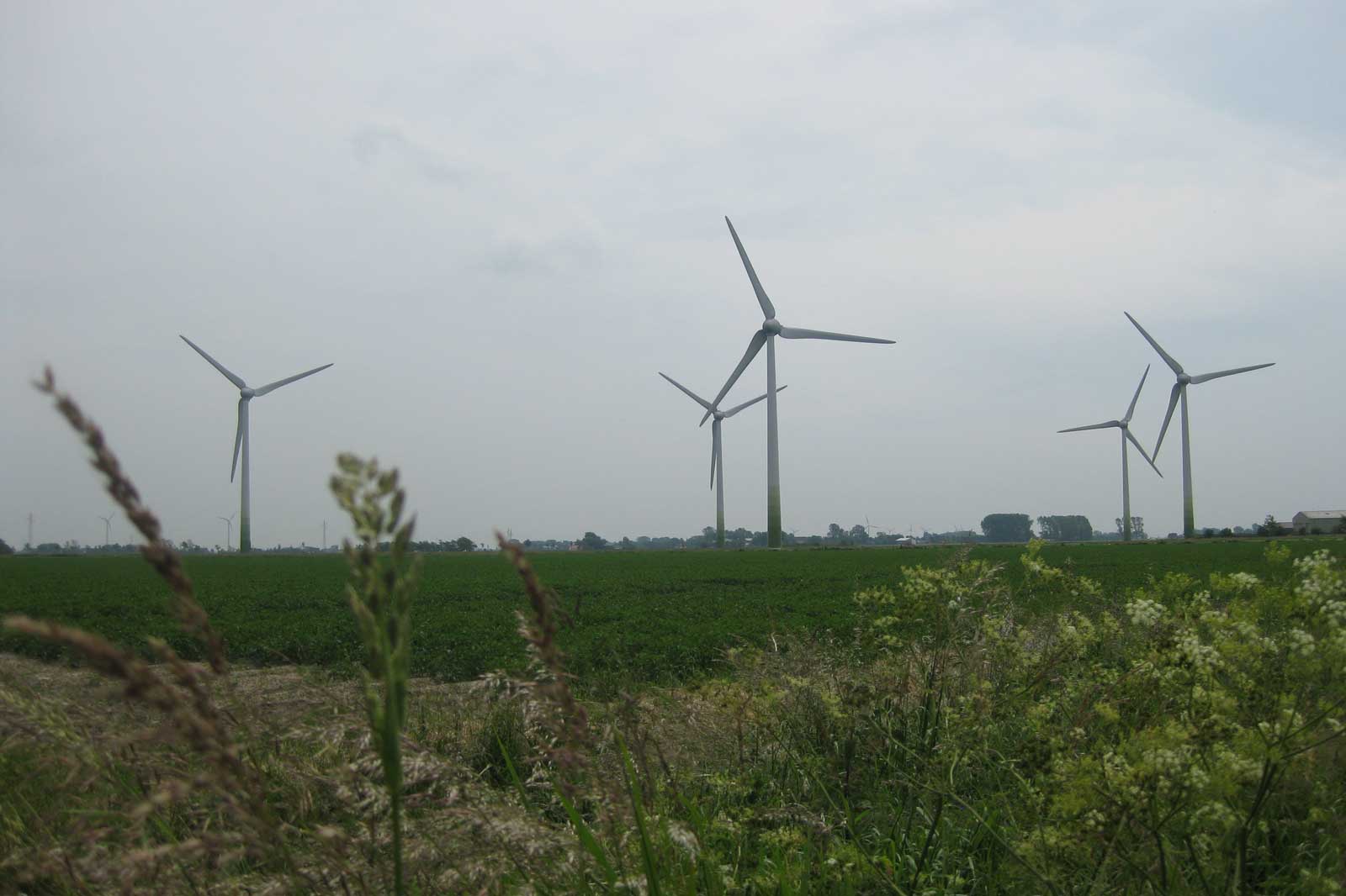 RWE Image