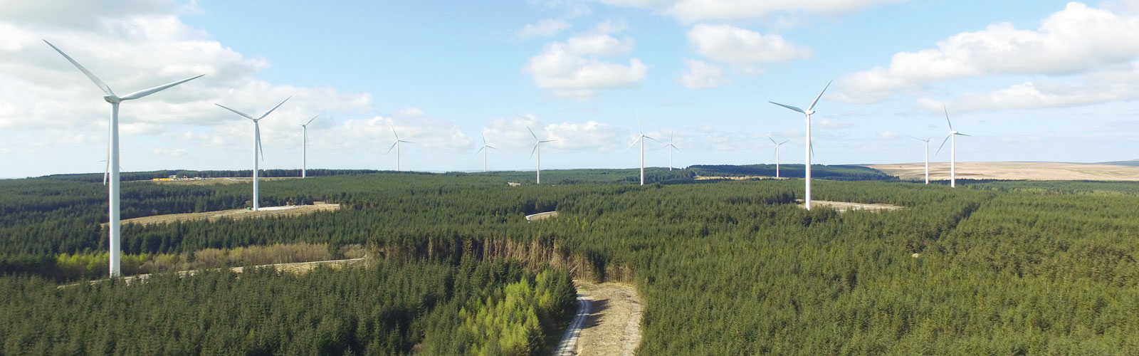 Luftaufnahme von Windkraftanlagen inmitten dichter Bäume unter einem blauen Himmel mit vereinzelten Wolken.