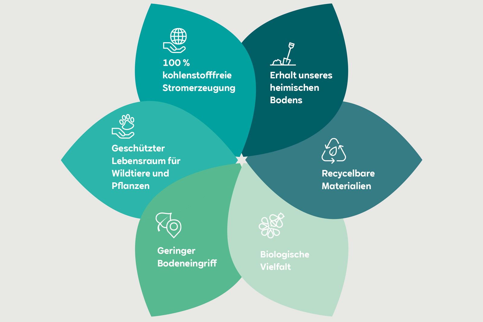 Ein blütenförmiges Diagramm, das umweltfreundliche Initiativen hervorhebt, einschließlich erneuerbarer Energie und Biodiversität.