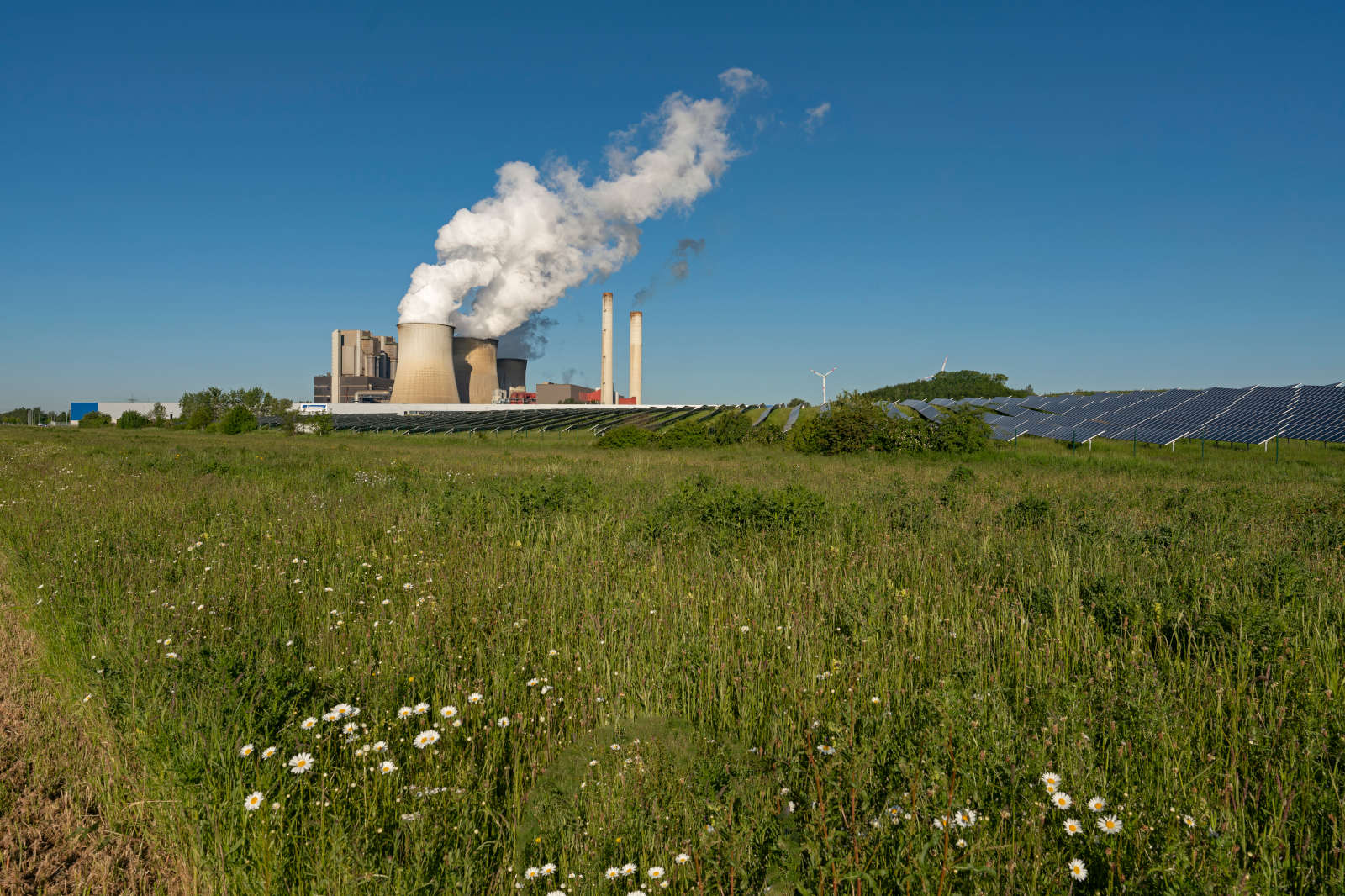 Eine grüne Wiese mit Blumen im Vordergrund, im Hintergrund ein Kraftwerk mit Rauch und Solarpanelen.