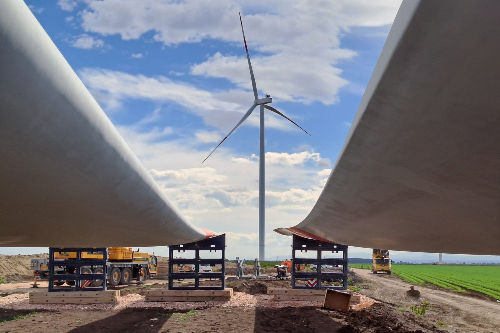 RWE Image