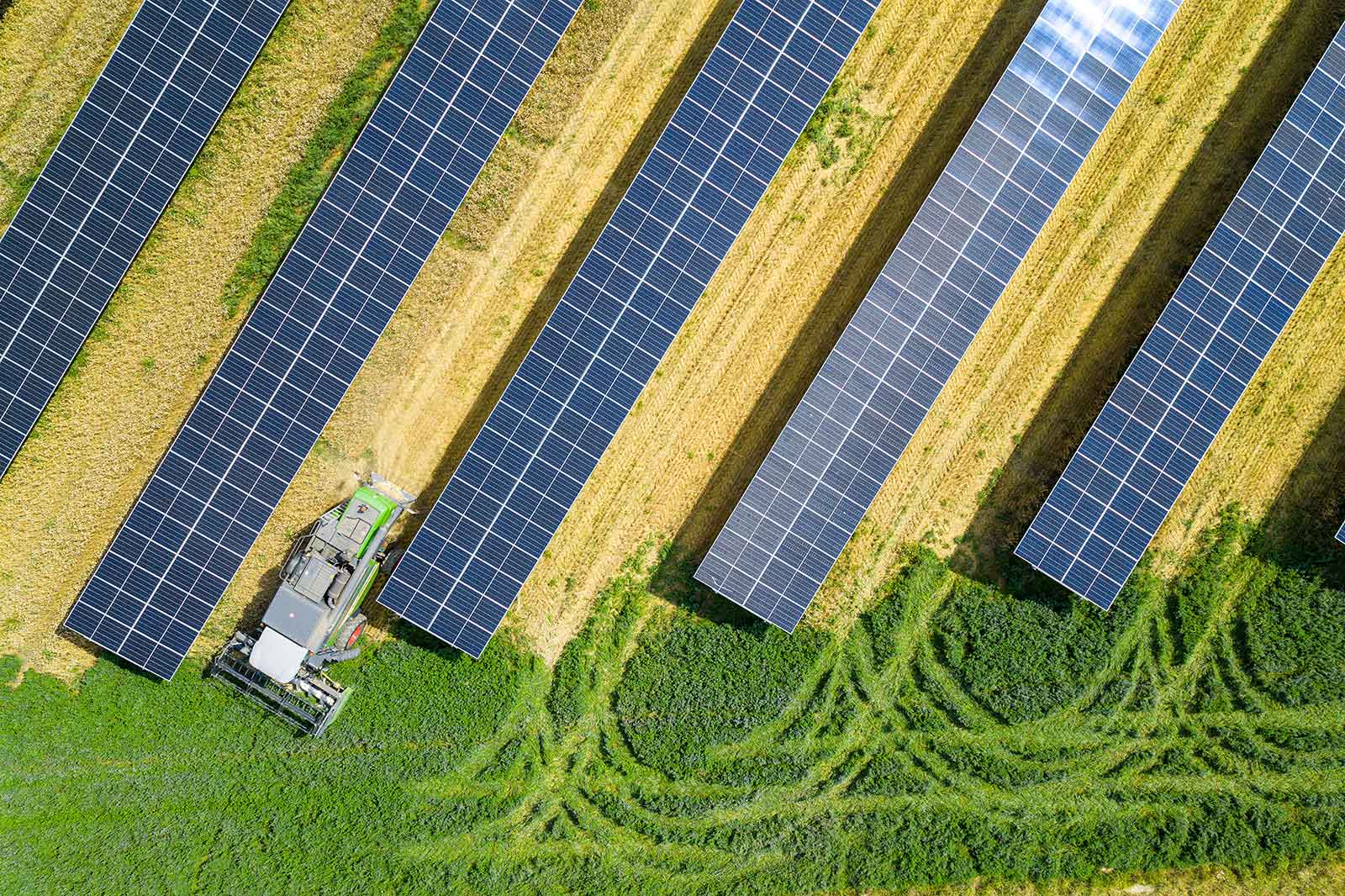 Luftaufnahme eines solarbetriebenen Feldes mit Solarpanels und einem Traktor, der das Grün zwischen den Panels mäht.