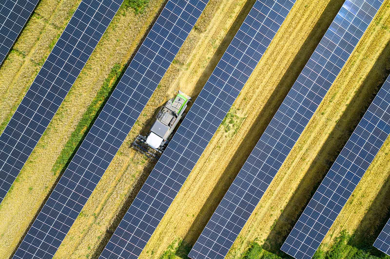 Ein Traktor mäht das Feld zwischen Solarzellen. Die Module sind in streifenförmigen Anordnungen angeordnet.