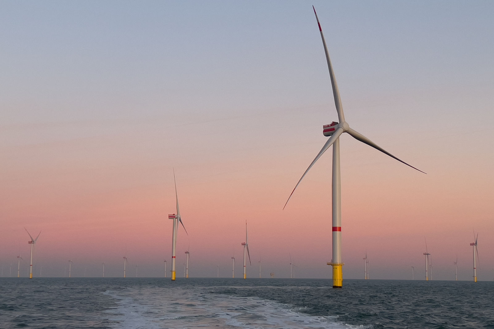 Meer mit mehreren Windkraftanlagen im Abendlicht, die sich sanft im Wasser spiegeln.