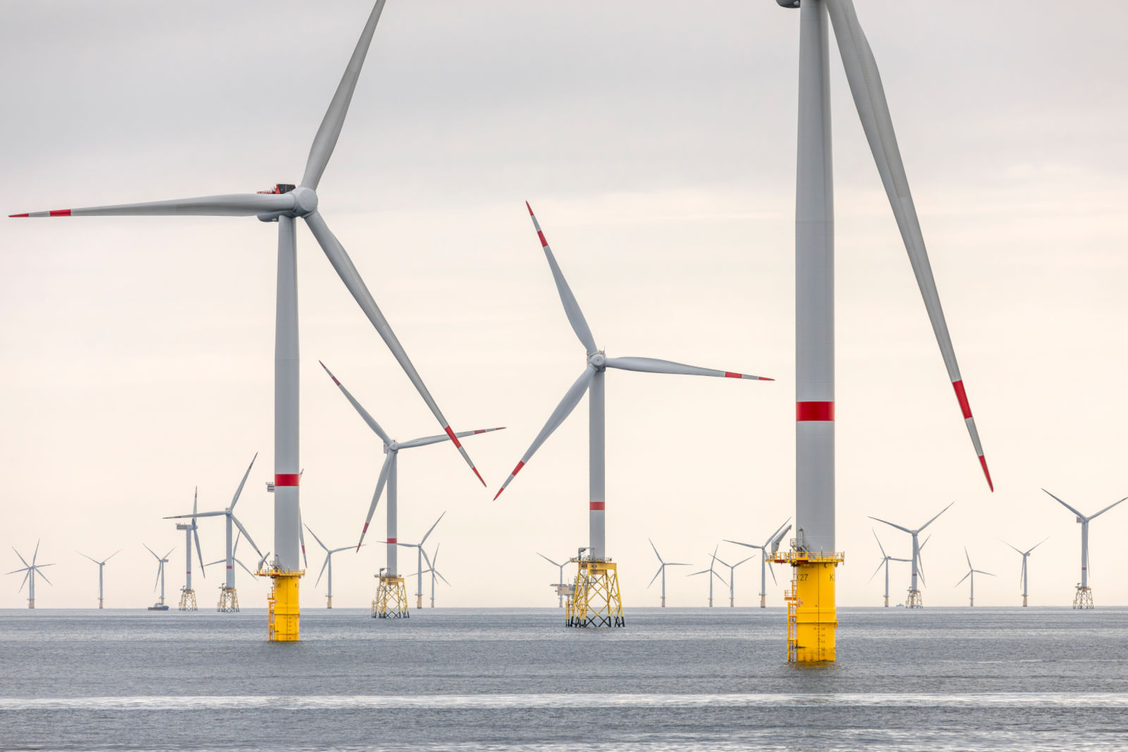 Eine Reihe von Windkraftanlagen steht im Wasser, mit rot-weißen Markierungen auf den Rotorblättern und gelben Fundamenten.