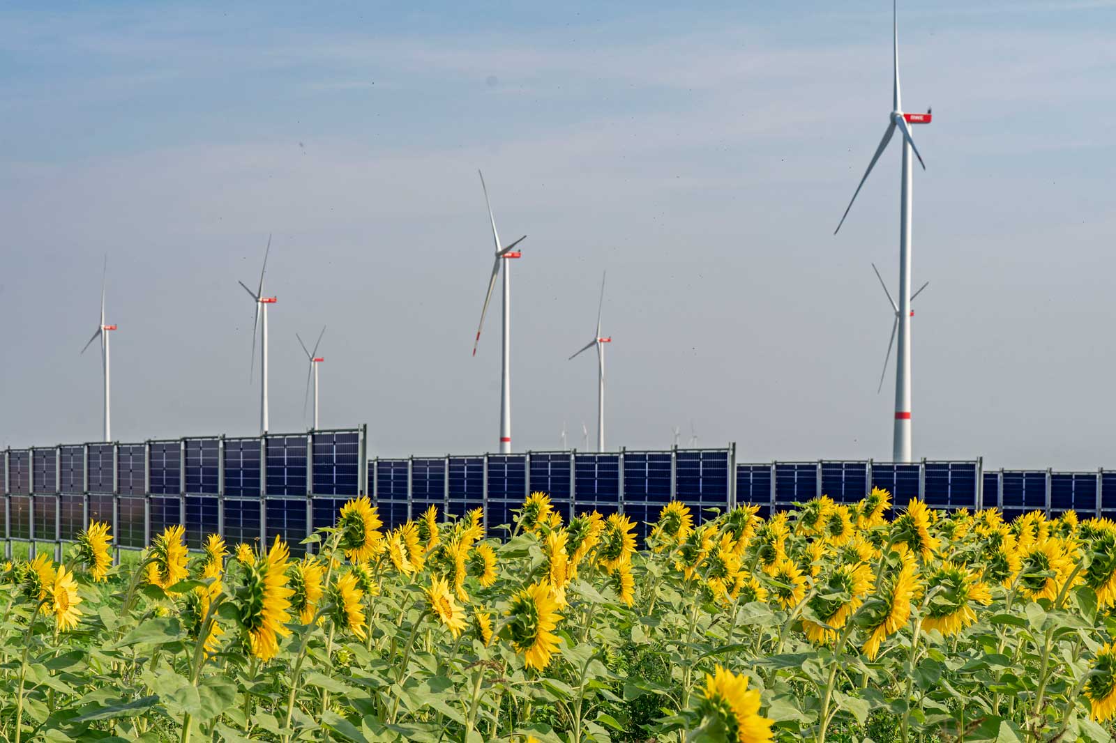 RWE Image