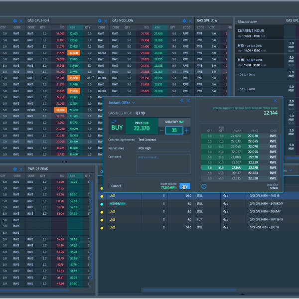 Ein detaillierter Screenshot einer Handelsplattform mit Preislisten, Kaufauftrag und Marktdaten.