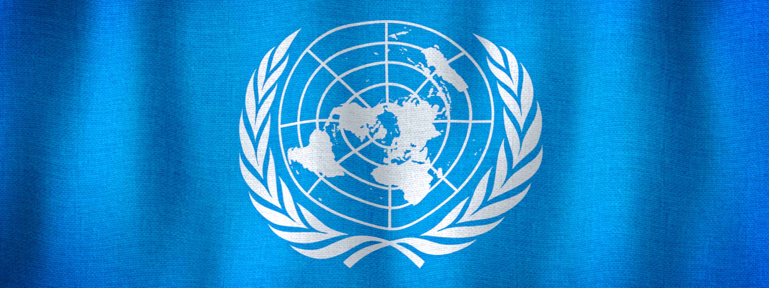 Die Flagge der Vereinten Nationen zeigt eine Weltkarte in Weiß auf blauem Hintergrund, umgeben von Olivenzweigen.