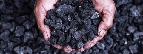 Hands holding pieces of coal with visible dirt and other coal residues in the background.