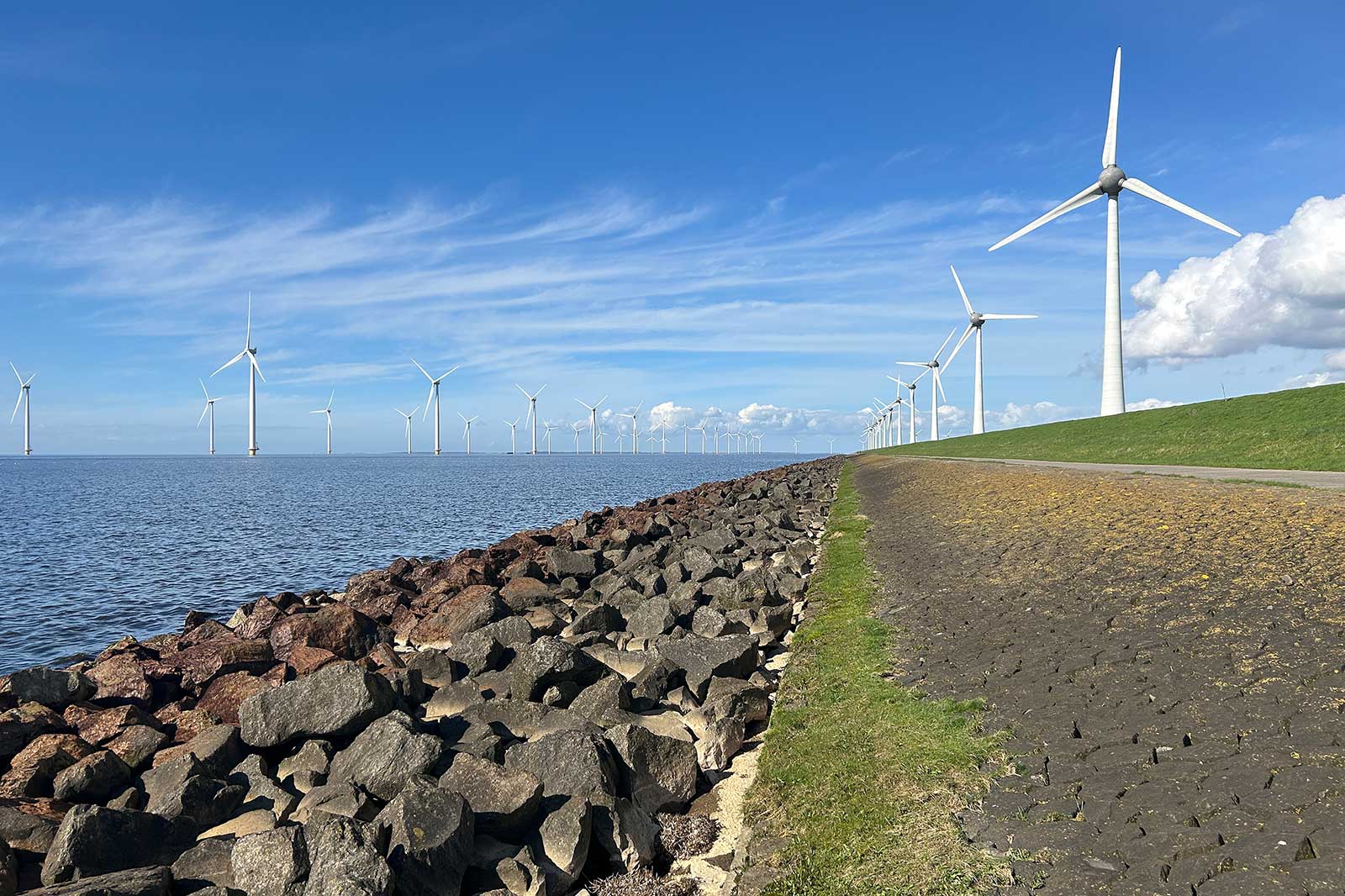 Eine Küstenlandschaft mit Windturbinen in der Ferne, im Vordergrund Sträucher und Gras unter einem bewölkten Himmel.