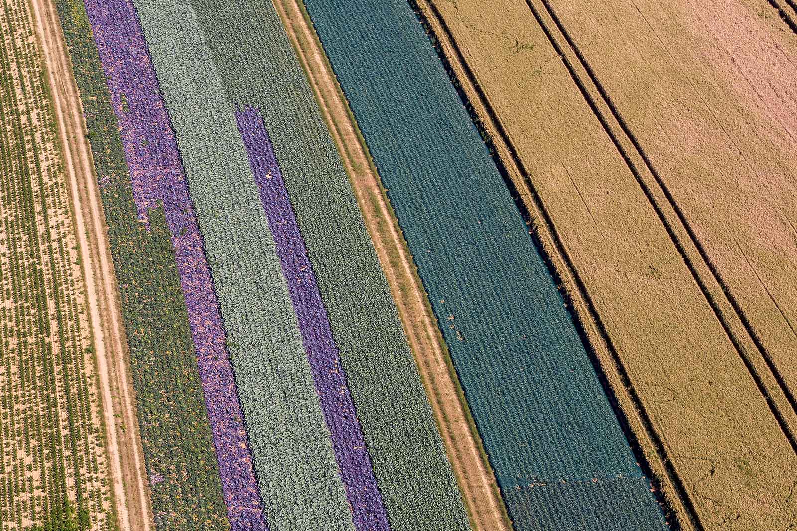 RWE Image