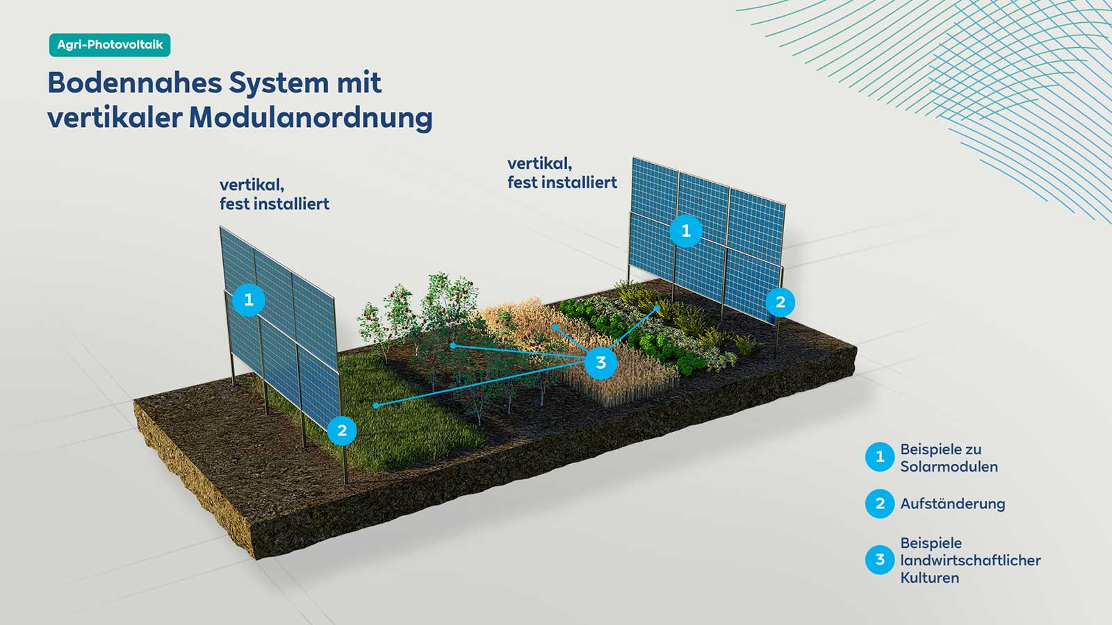 Variante 1: Senkrechte Module mit Bewirtschaftung zwischen den Modulreihen