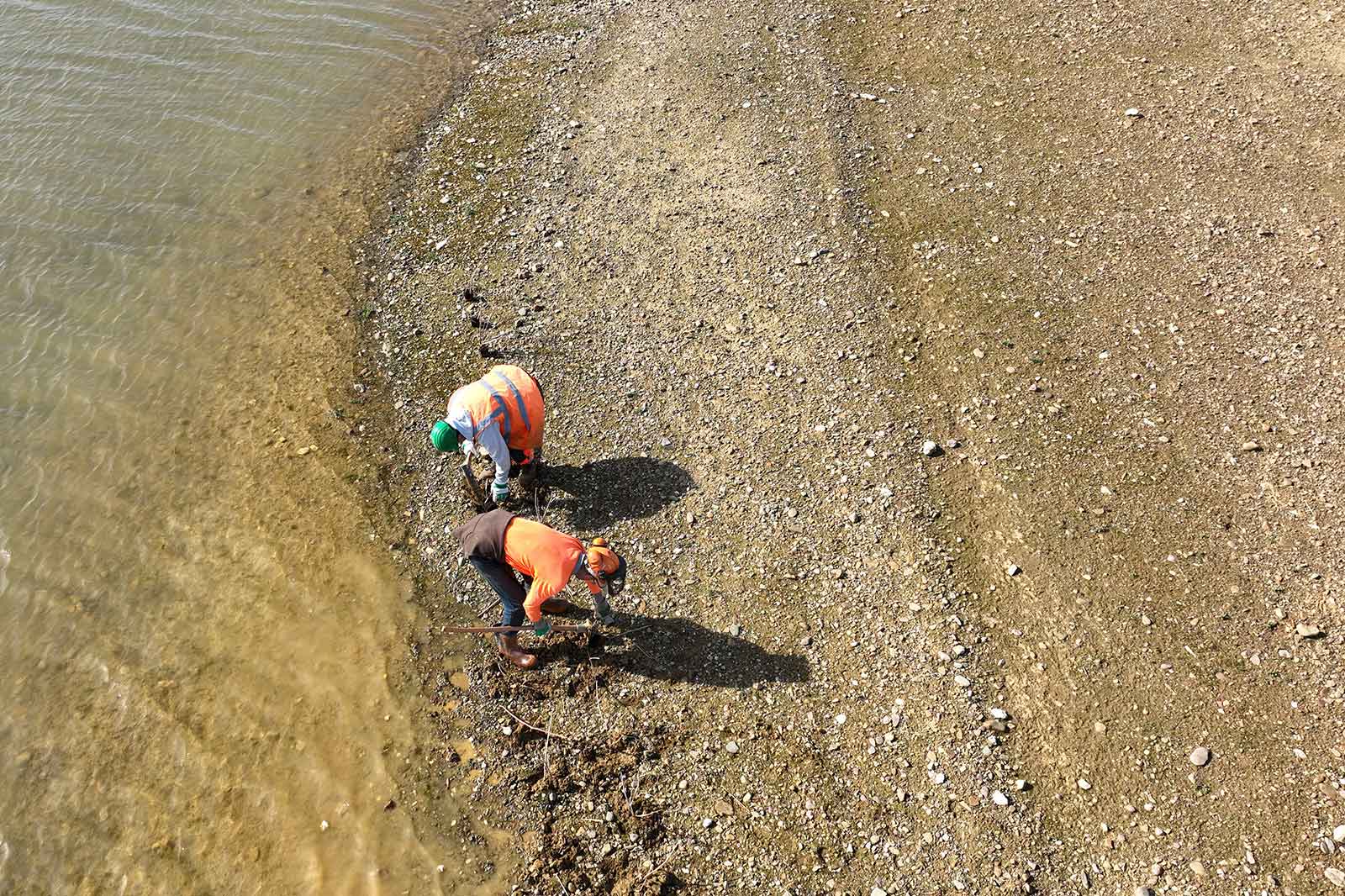 Zwei Personen arbeiten an einem kieseligen Ufer, verwenden Werkzeuge zum Graben in der Nähe des Wasserrands an einem sonnigen Tag.